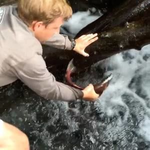 Meet your Posher, Jordan